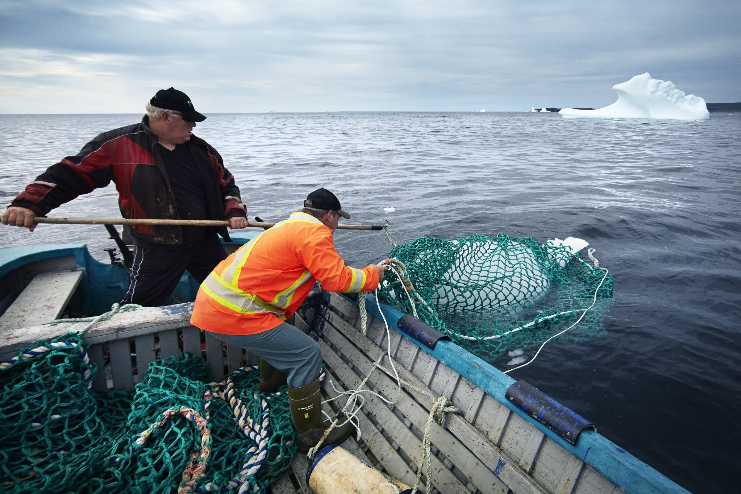 Nghe san bang troi o Canada hinh anh