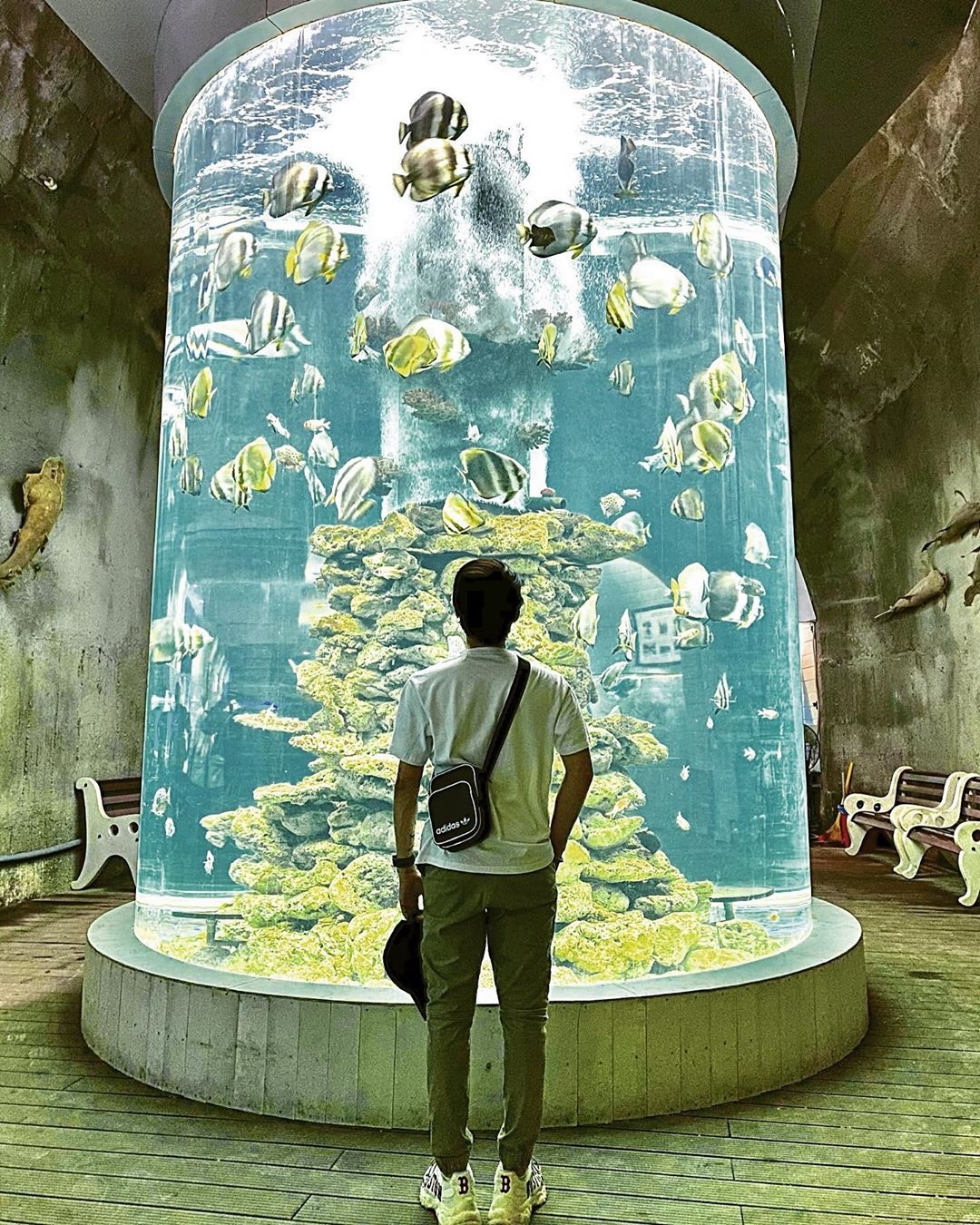 diem an choi o Nha Trang anh 6