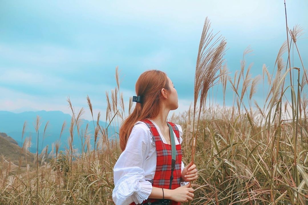 Nhung mua hoa dip cuoi nam anh 5