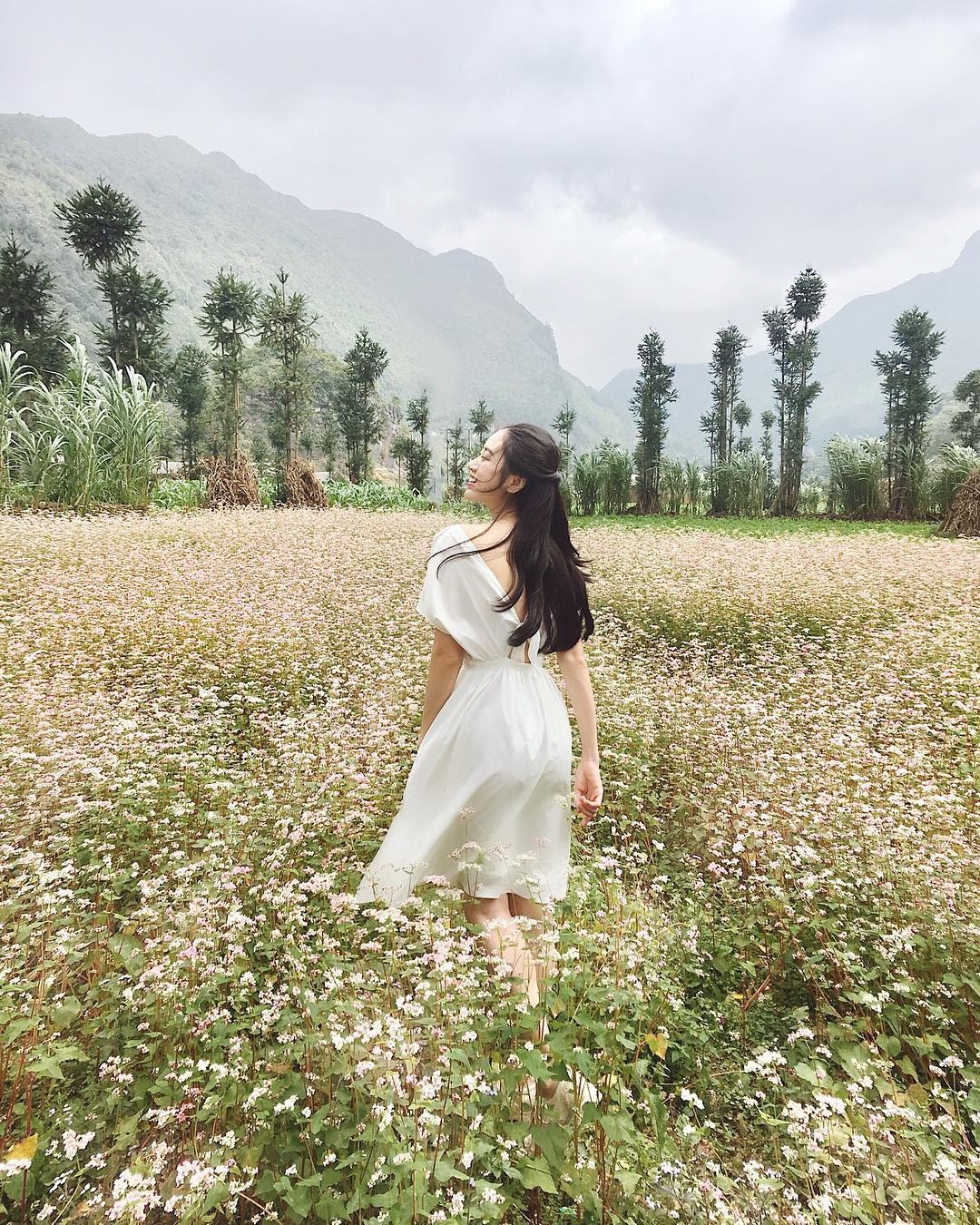 Nhung mua hoa dip cuoi nam anh 3