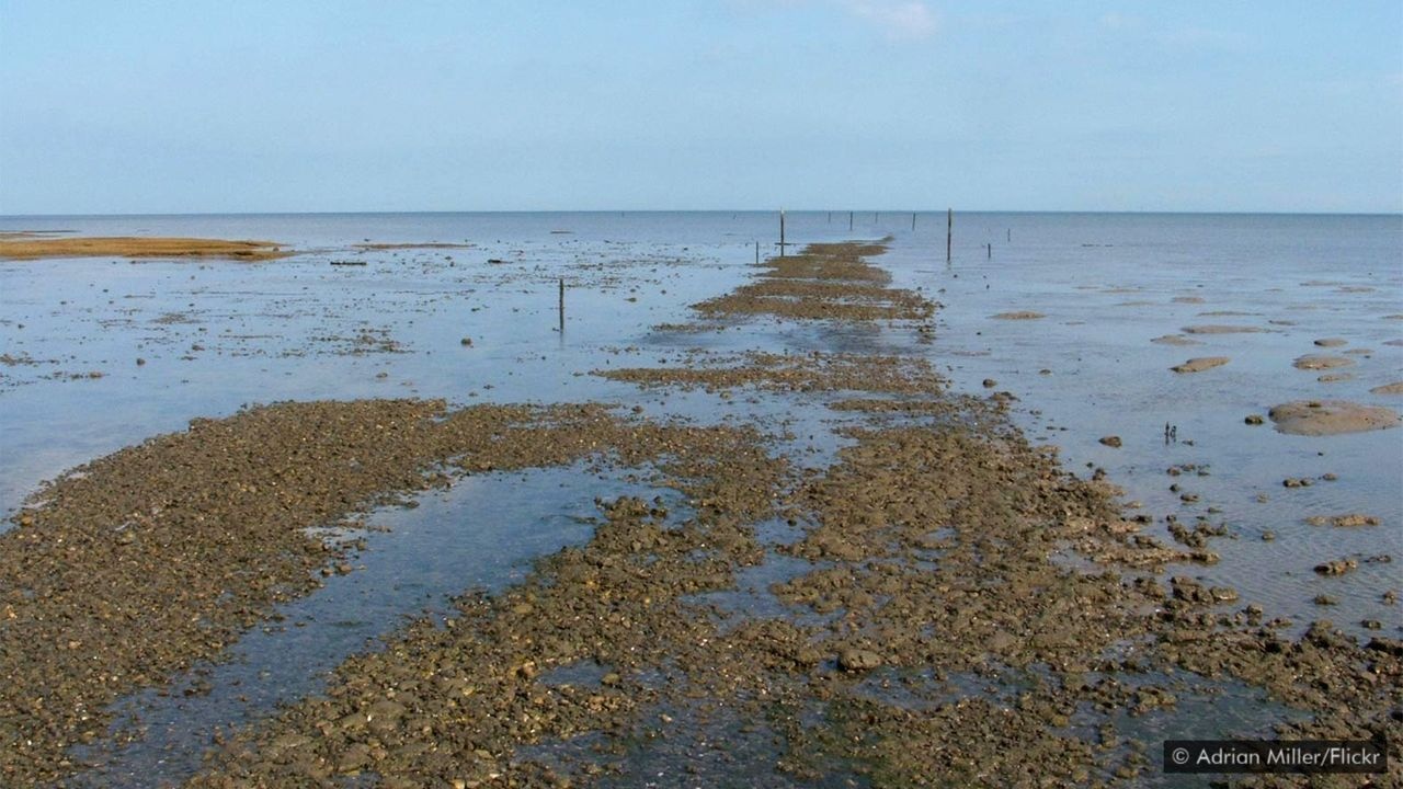 Con đường chết chóc nhất nước Anh ảnh 3 Con duong chet choc nhat nuoc Anh anh 3