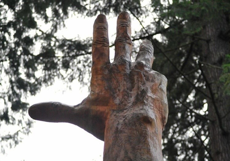 Ban tay khong lo giua khu rung xu Wales hinh anh