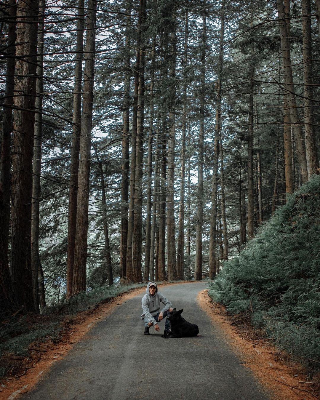 Bàn tay khổng lồ của Vyrnwy ảnh 10 Ban tay khong lo cua Vyrnwy anh 10