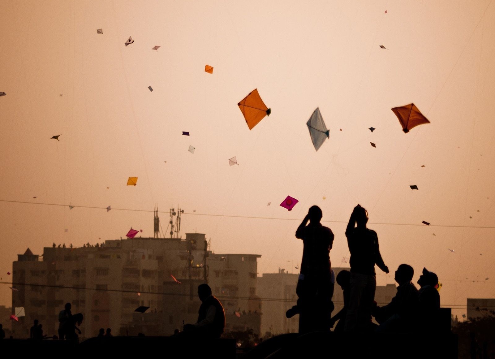 Le hoi tha dieu doc dao o An Do hinh anh