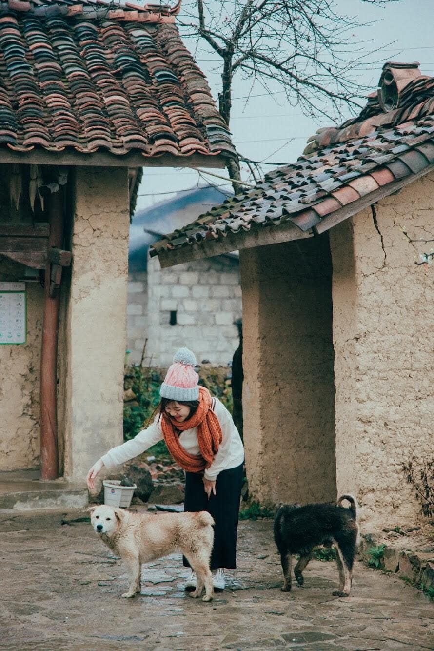 homestay ở Hà Giang ảnh 1 homestay o Ha Giang anh 1