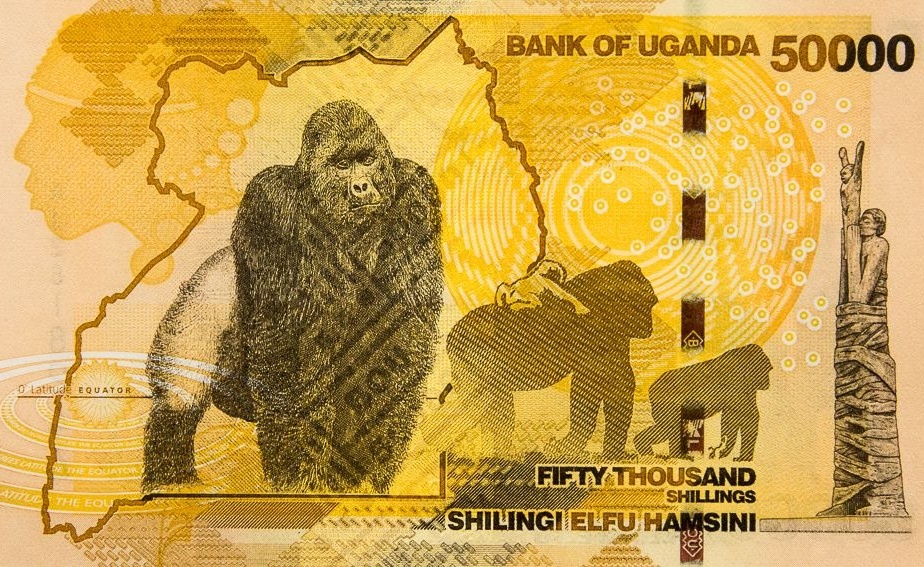 Nhung loai tien giay dep khap the gioi anh 2