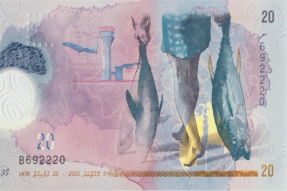 Nhung loai tien giay dep khap the gioi anh 6