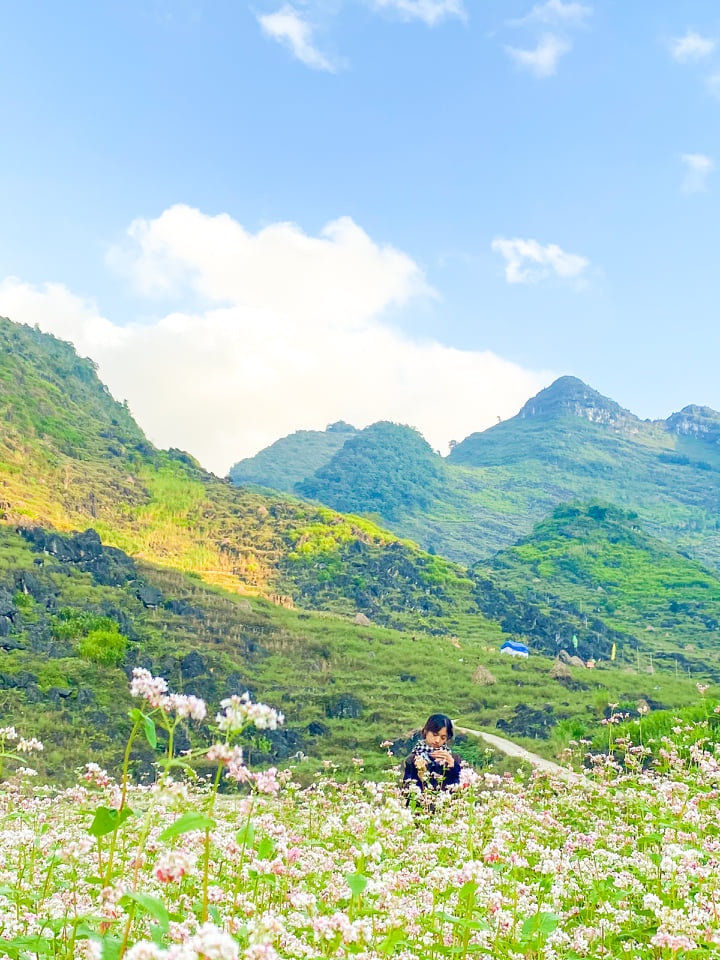 Ha Giang mua tam giac mach anh 1