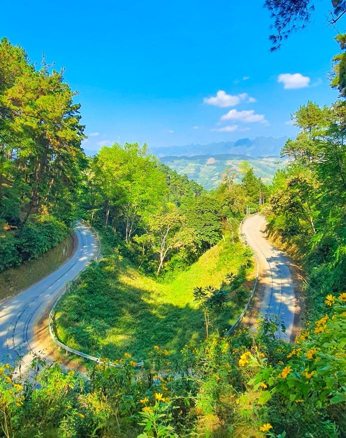 Ha Giang mua tam giac mach anh 4