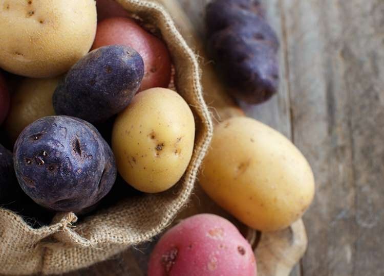 Cac loai thuc pham khong can de lanh anh 3