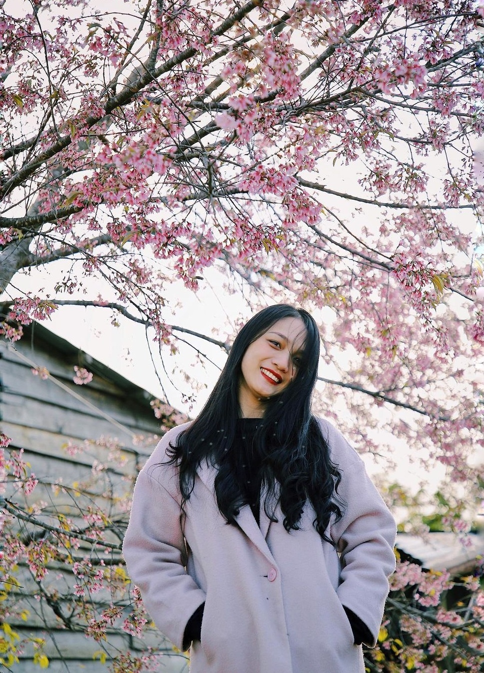 du lịch dịp Tết dương lịch ảnh 7 du lich dip Tet duong lich anh 7