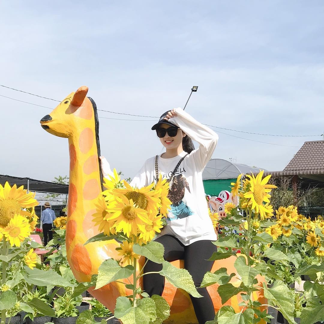 ve mien Tay dip Tet Duong lich anh 5