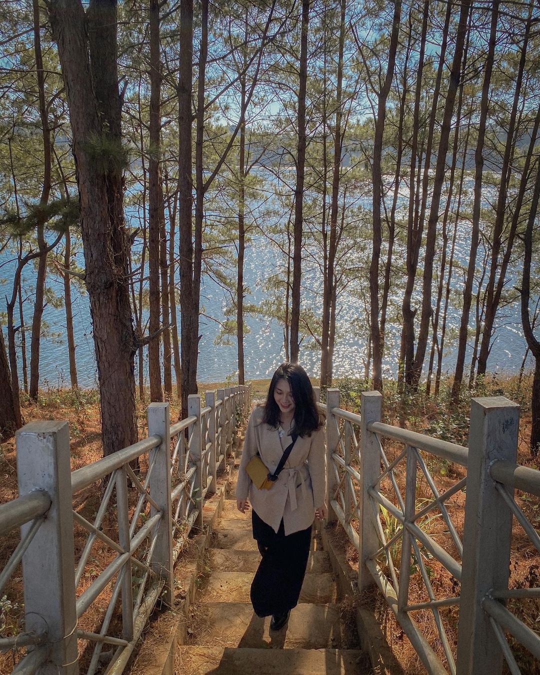 du lich Gia Lai dip Tet Duong lich anh 4