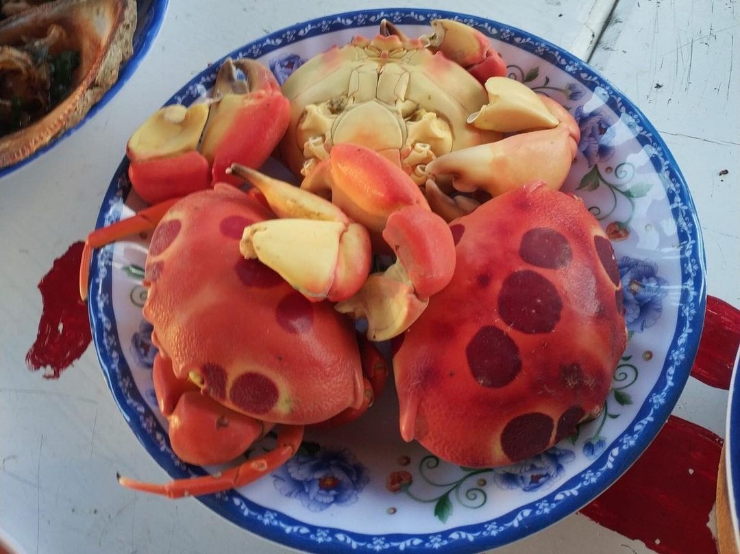 dac san Con Dao anh 4