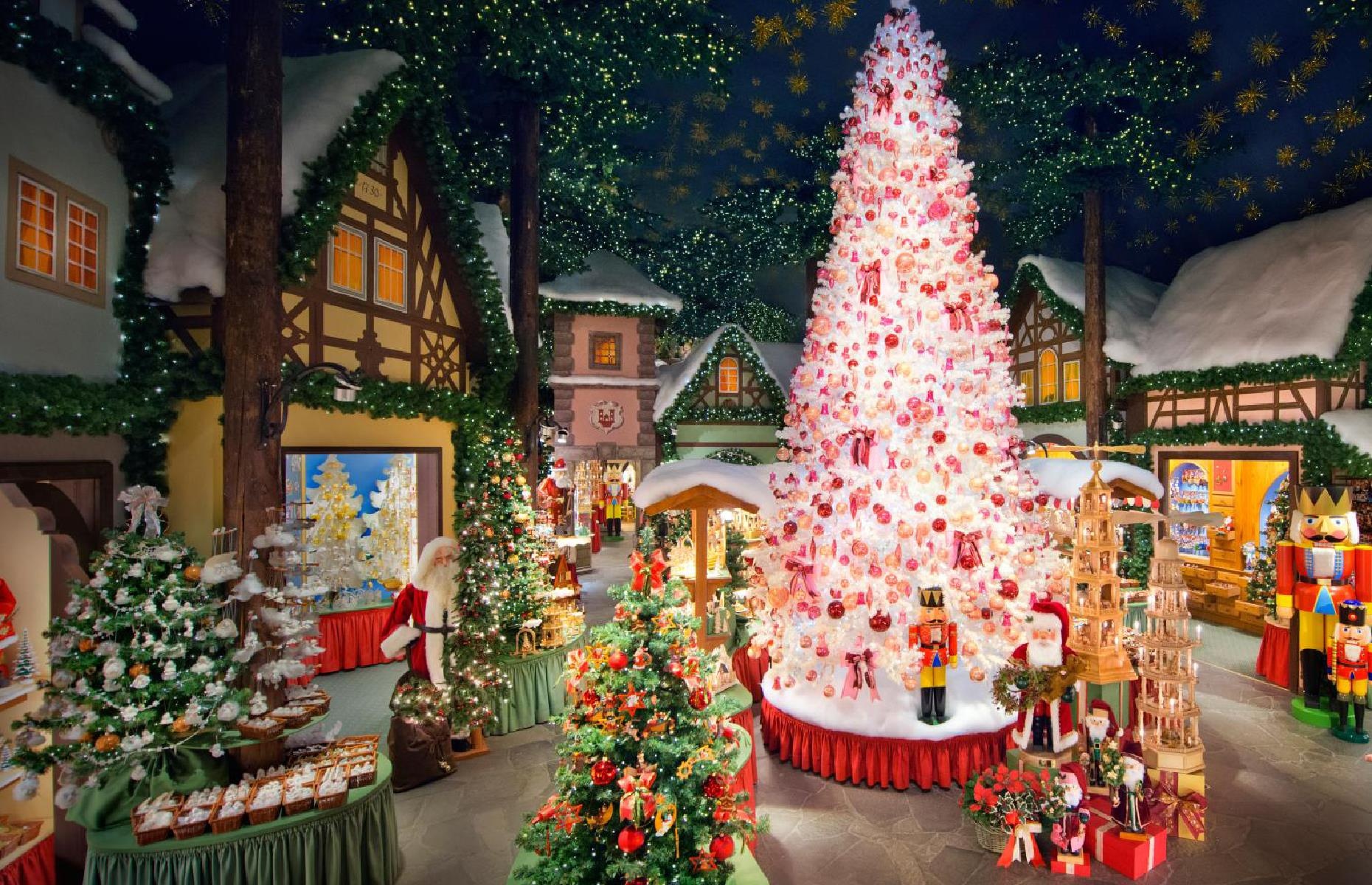 noi co khong khi Giang sinh quanh nam anh 1