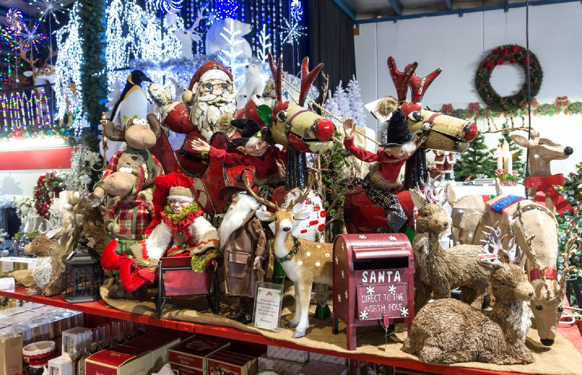 noi co khong khi Giang sinh quanh nam anh 6