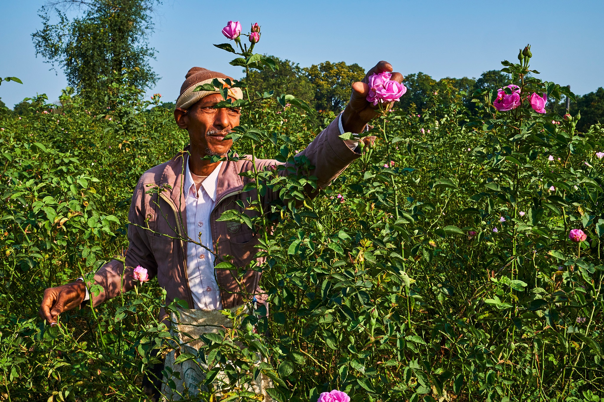Thu do nuoc hoa cua An Do anh 2