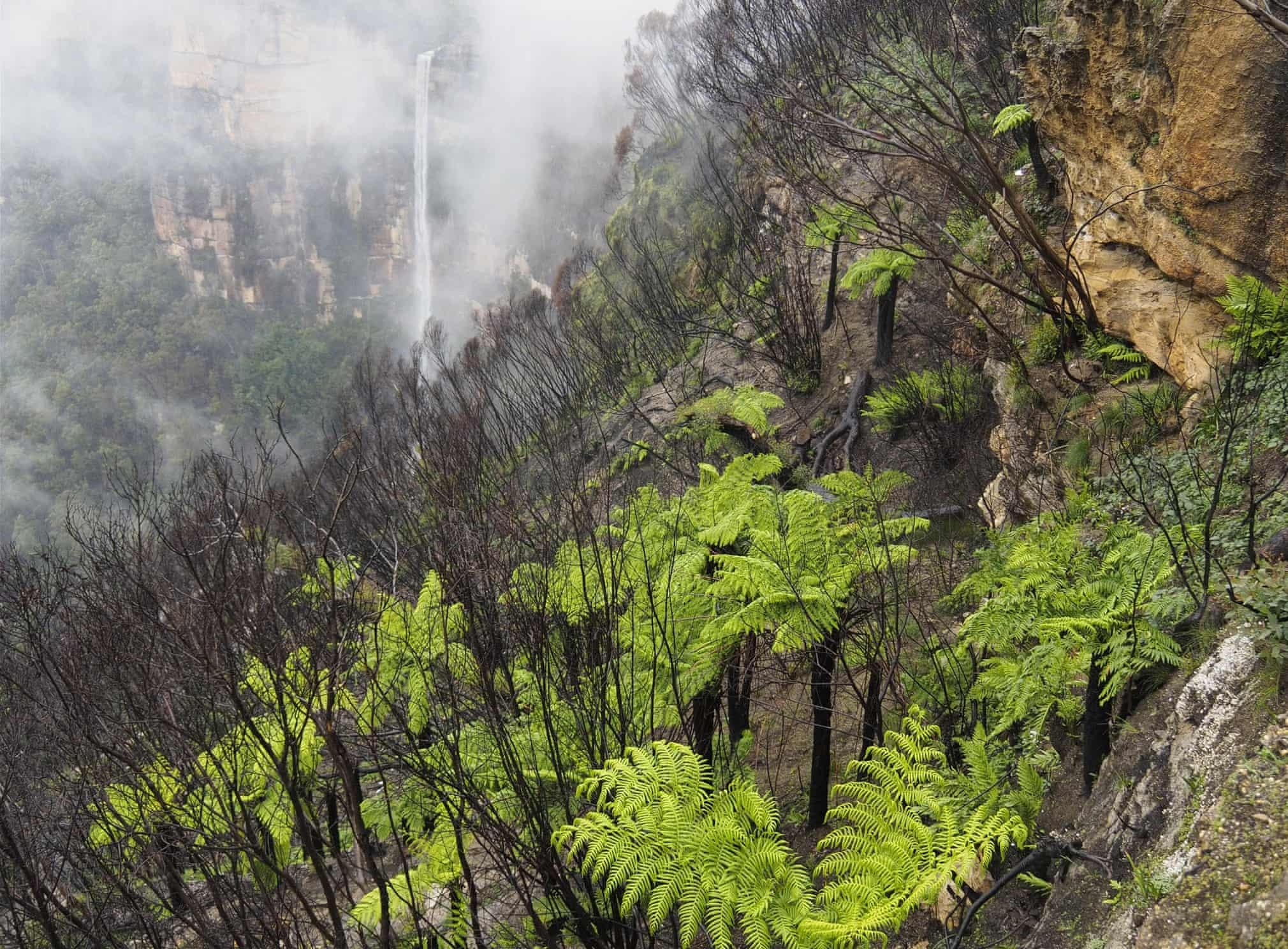 Anh thoi tiet khap the gioi nam 2020 anh 5