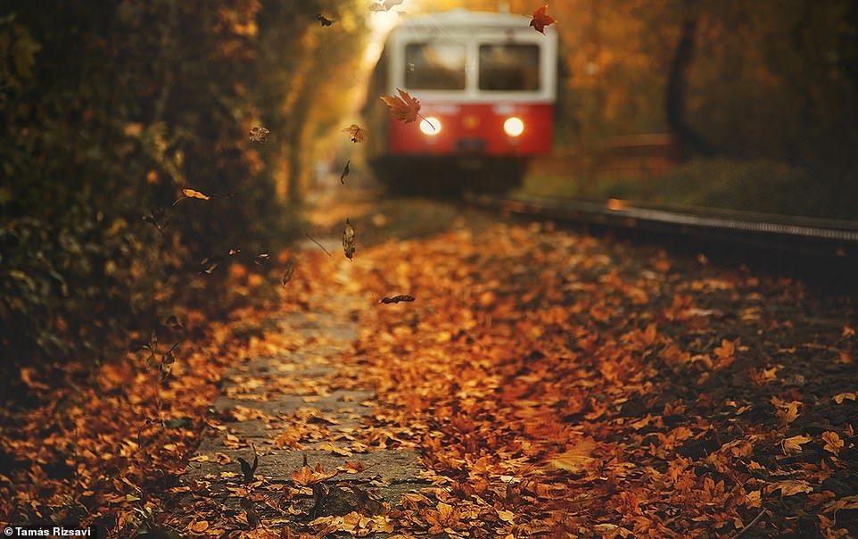 nhung chuyen tau giua long chau Au anh 15