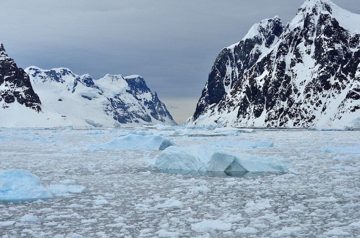 Cuoc thi lam dong toc quoc te anh 1