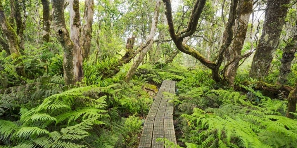 noi am uot hang dau tren Trai Dat anh 4