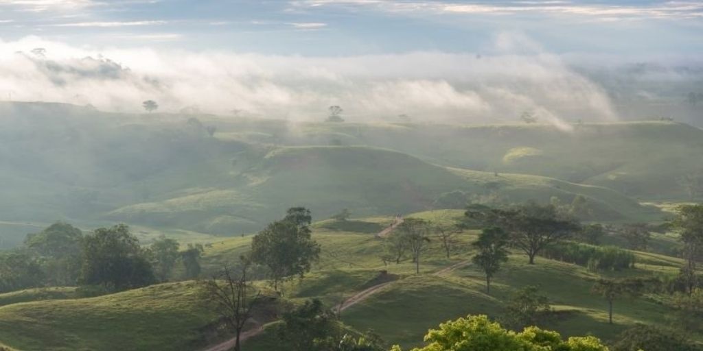 noi am uot hang dau tren Trai Dat anh 8