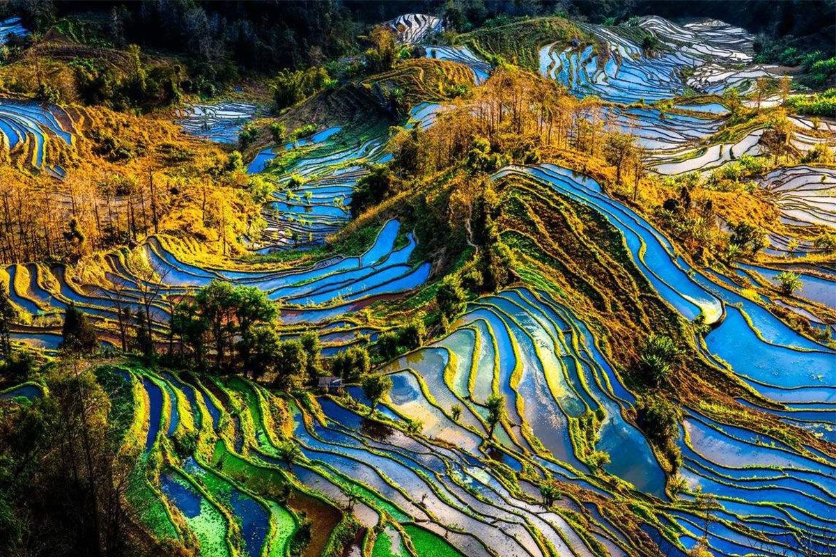 noi co ruong bac thang dep nuc tieng anh 8