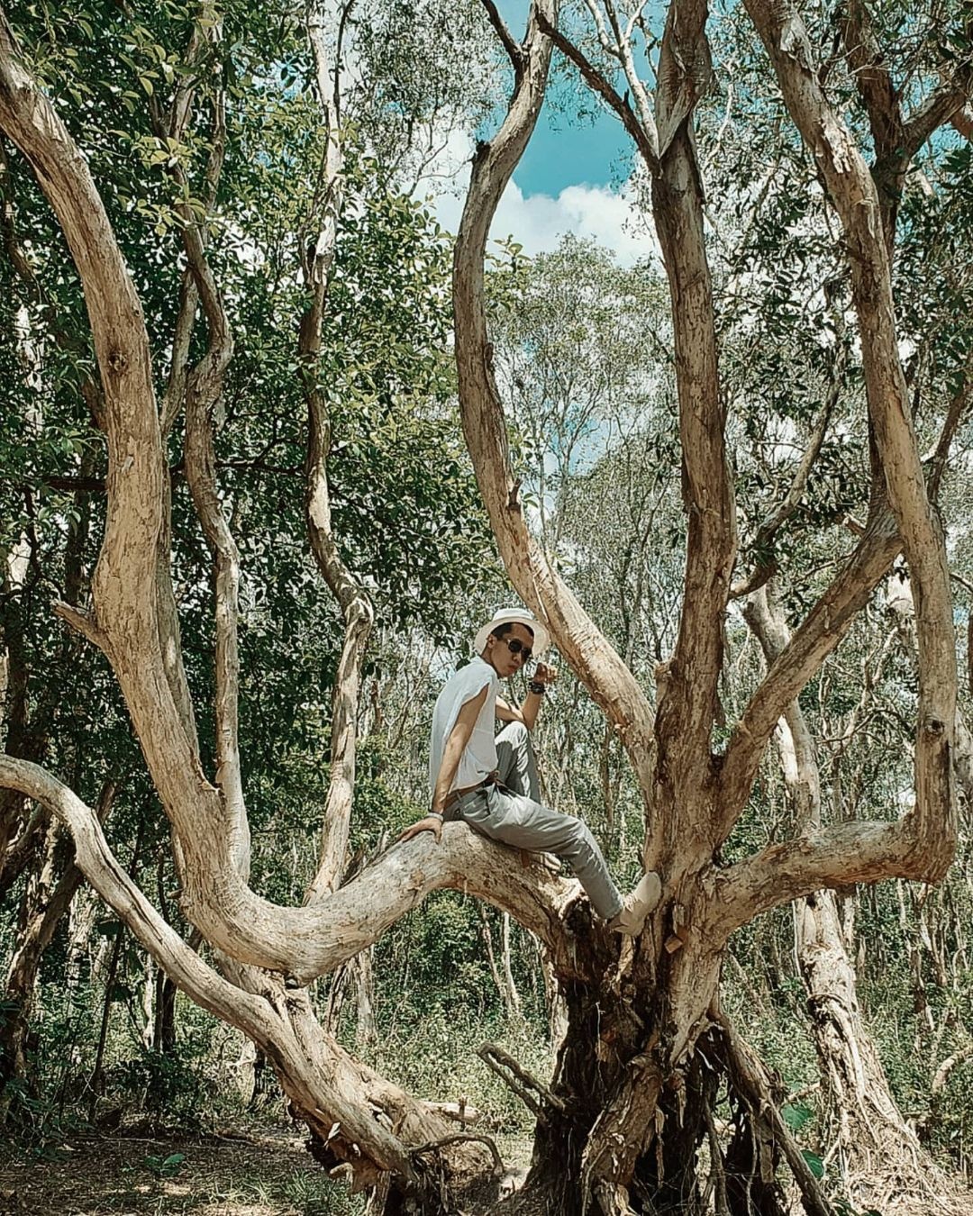 khu bao ton thien nhien Binh Chau - Phuoc Buu anh 7