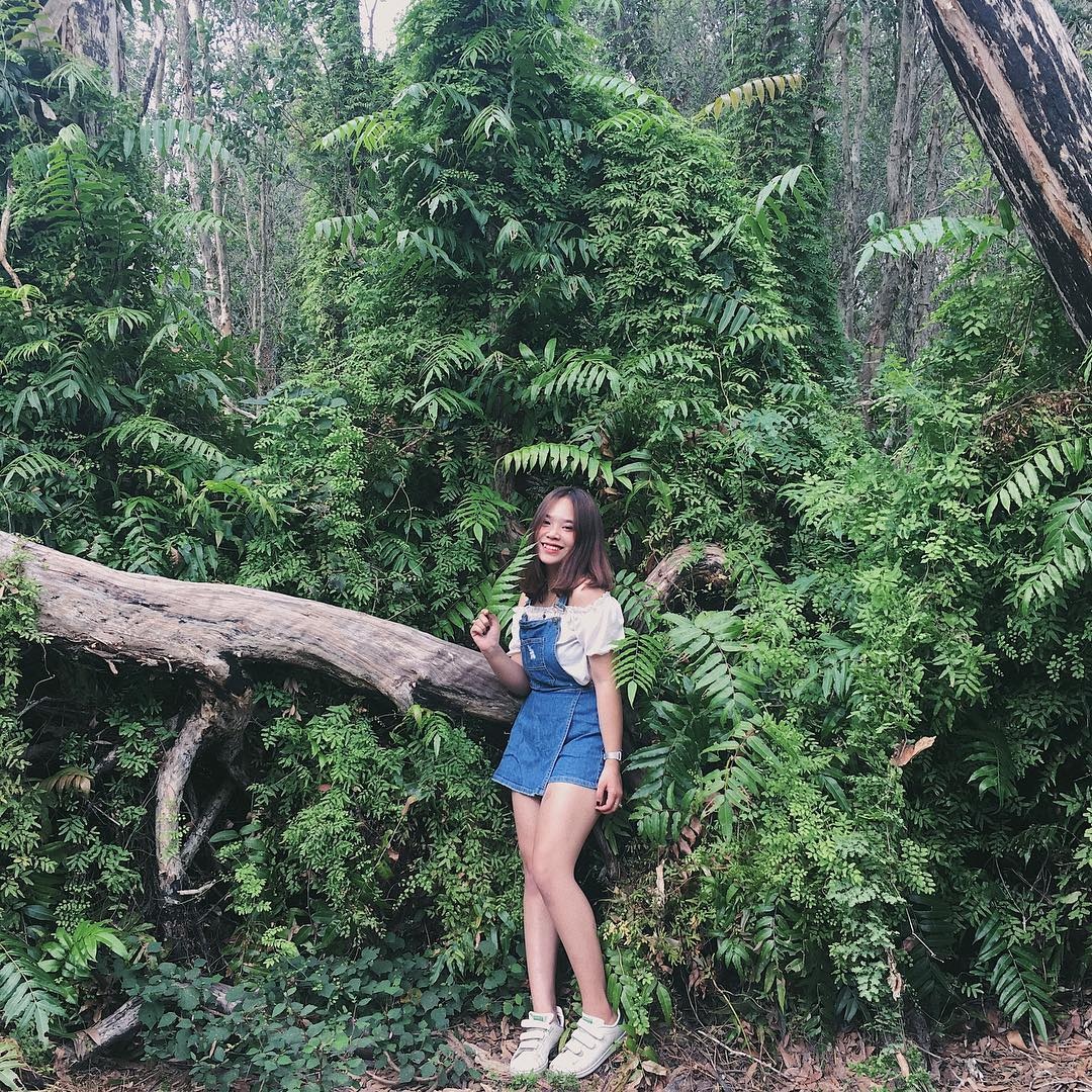 khu bao ton thien nhien Binh Chau - Phuoc Buu anh 8