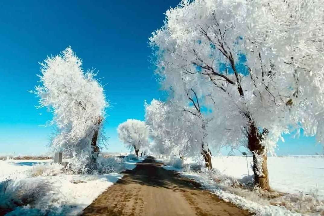 Con duong tuyet trang duoi troi am 16 do C o Tay Ban Nha hinh anh