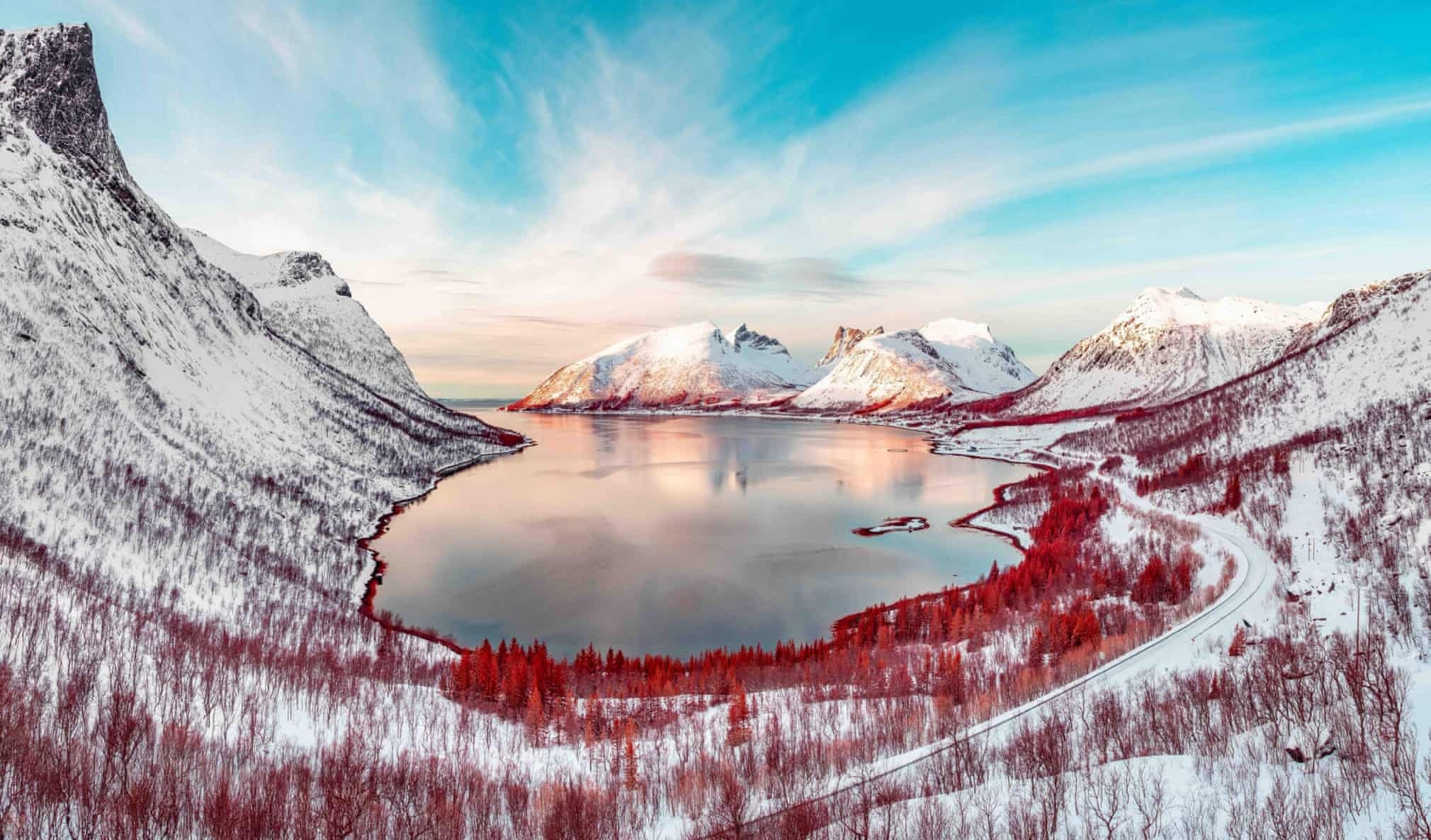 anh chup hong ngoai anh 8