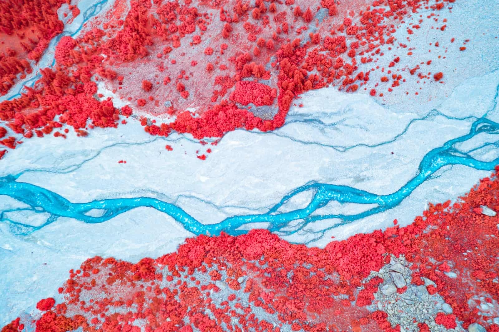 anh chup hong ngoai anh 12