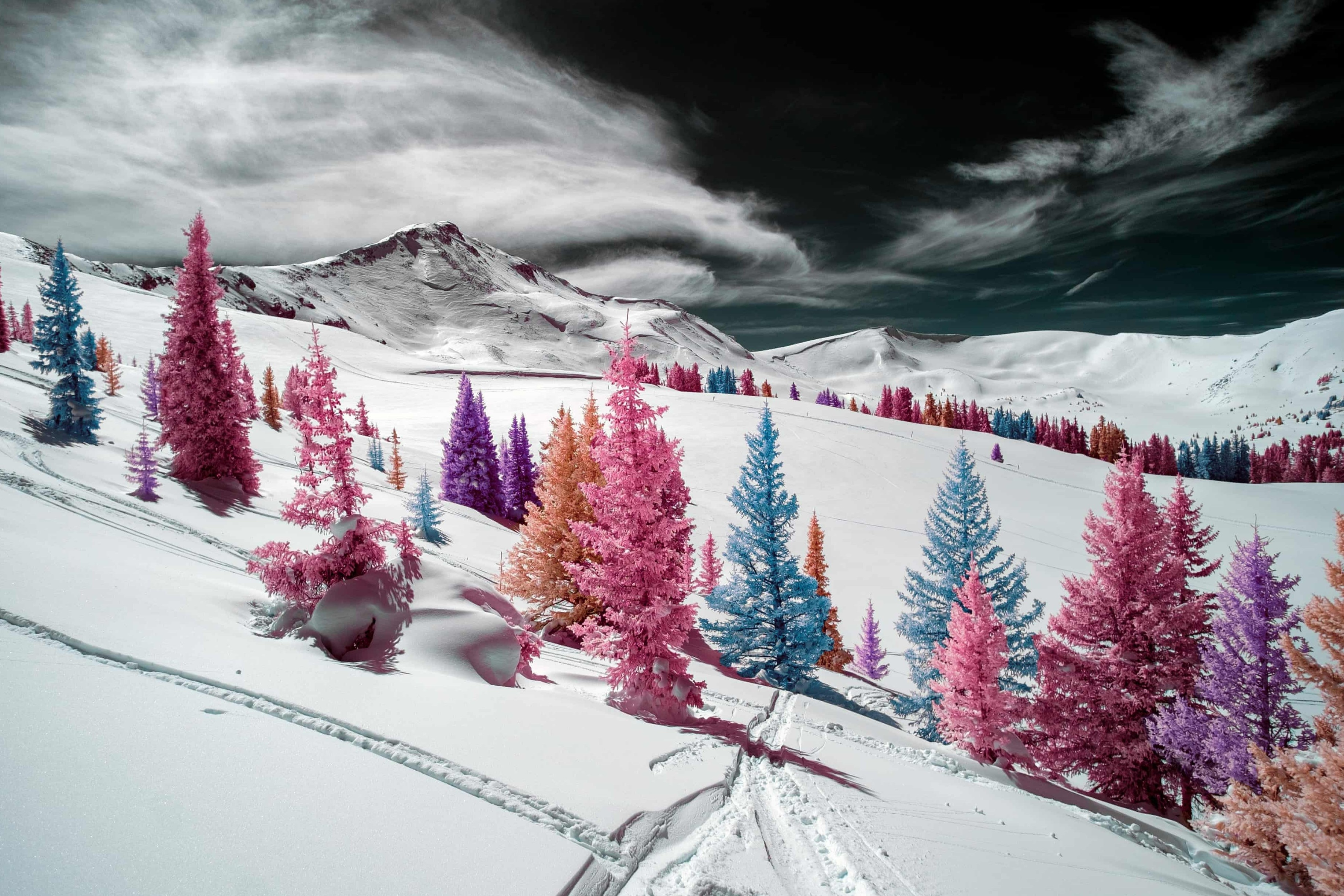 Canh sac khac la trong anh chup hong ngoai hinh anh