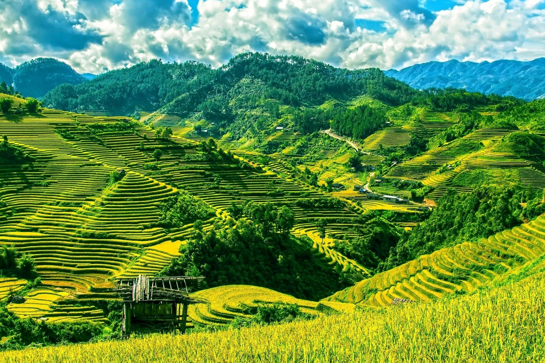 Sa Pa va nhung noi co ruong bac thang dep noi tieng hinh anh