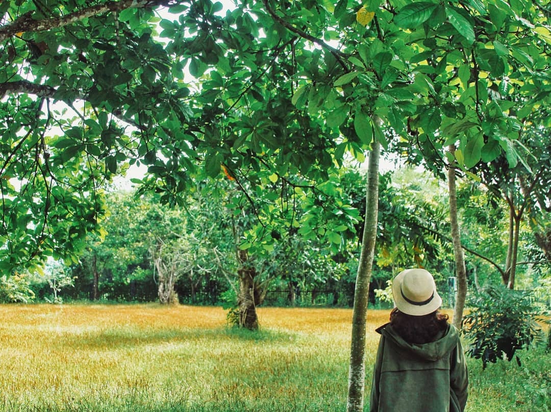 chuyen di ngan tu TP.HCM anh 7