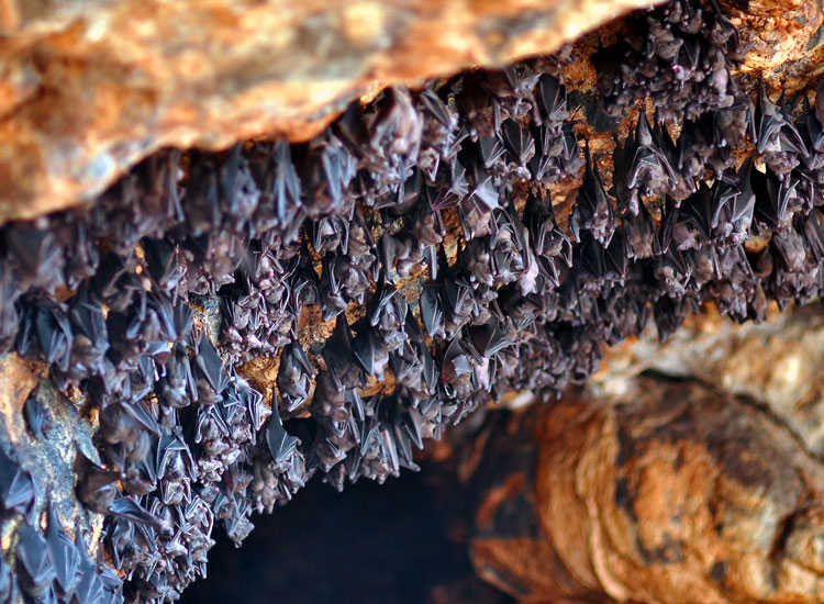 Nhung ngoi den ky la tren the gioi anh 3