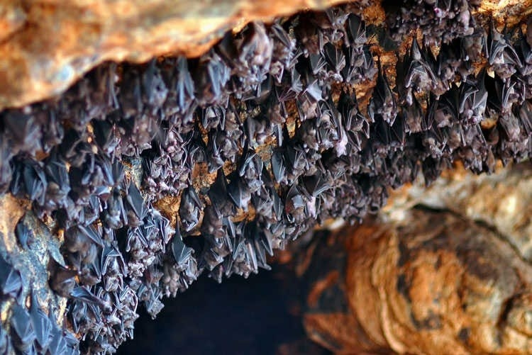 Nhung ngoi den la tren the gioi hinh anh