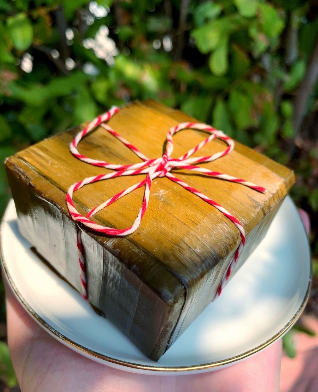 mon an dac trung dip Tet o 3 mien anh 4