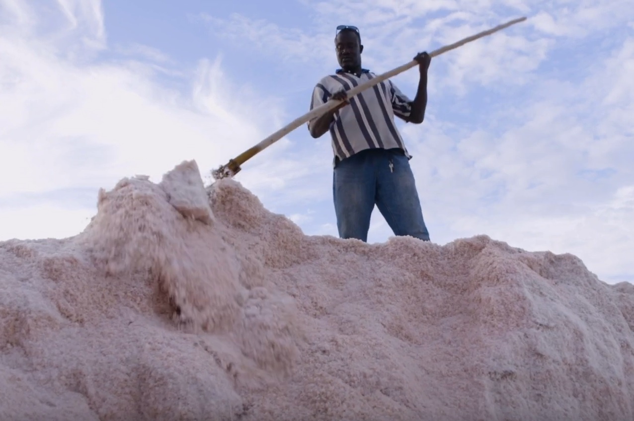 Noi thu hoach 60.000 tan muoi moi nam hinh anh