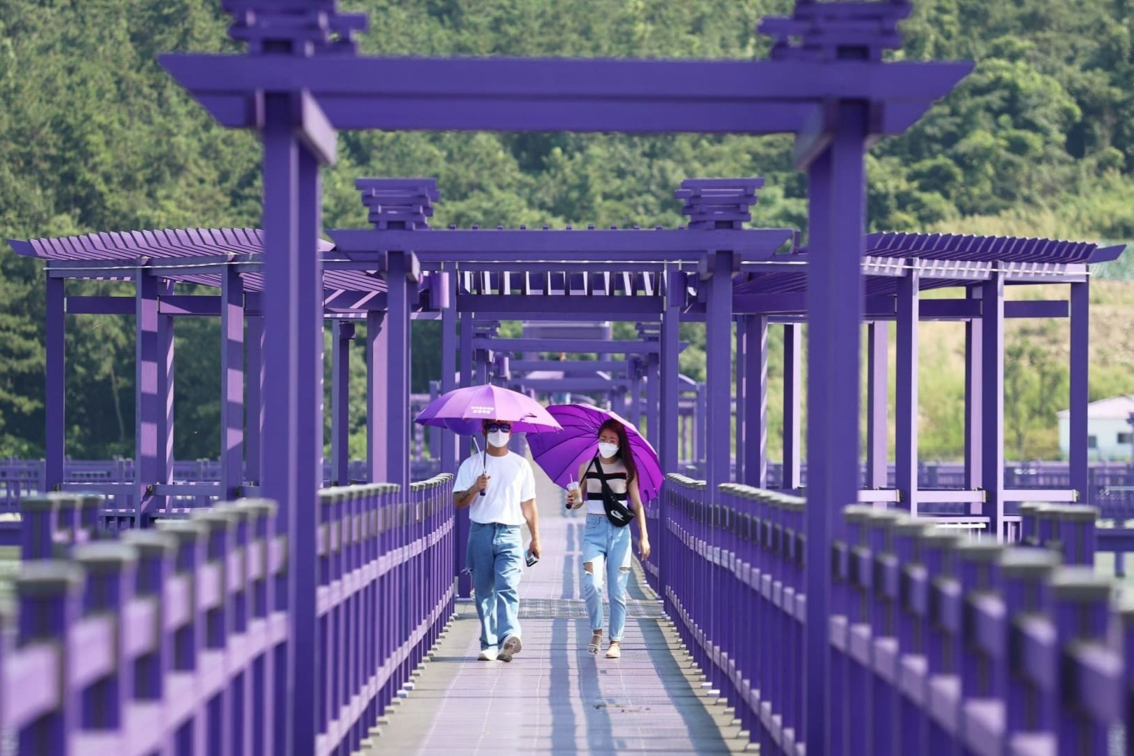 Hon dao mau tim doc dao o Han Quoc hinh anh