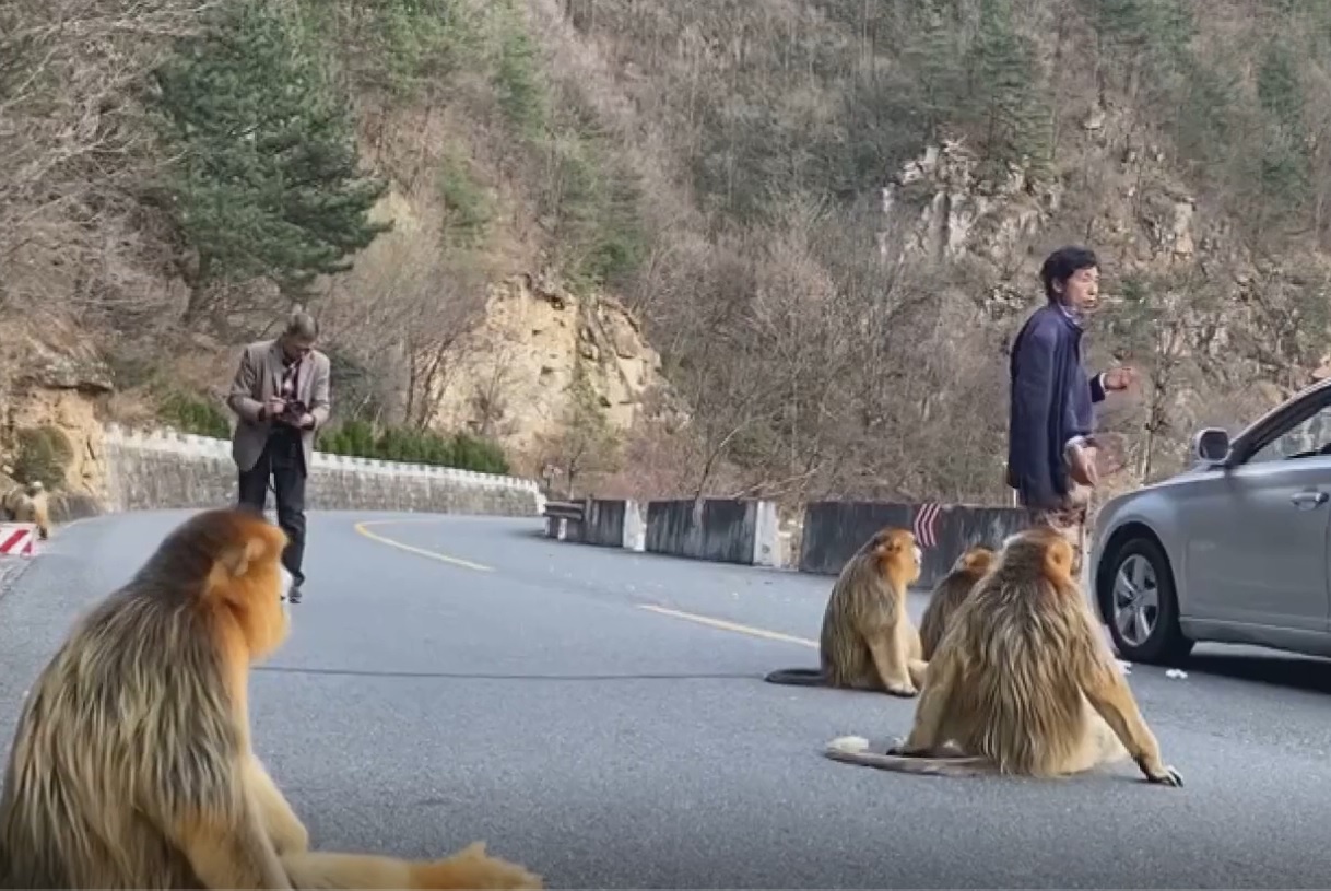 Canh dan khi vang xuong duong tim thuc an o Trung Quoc hinh anh