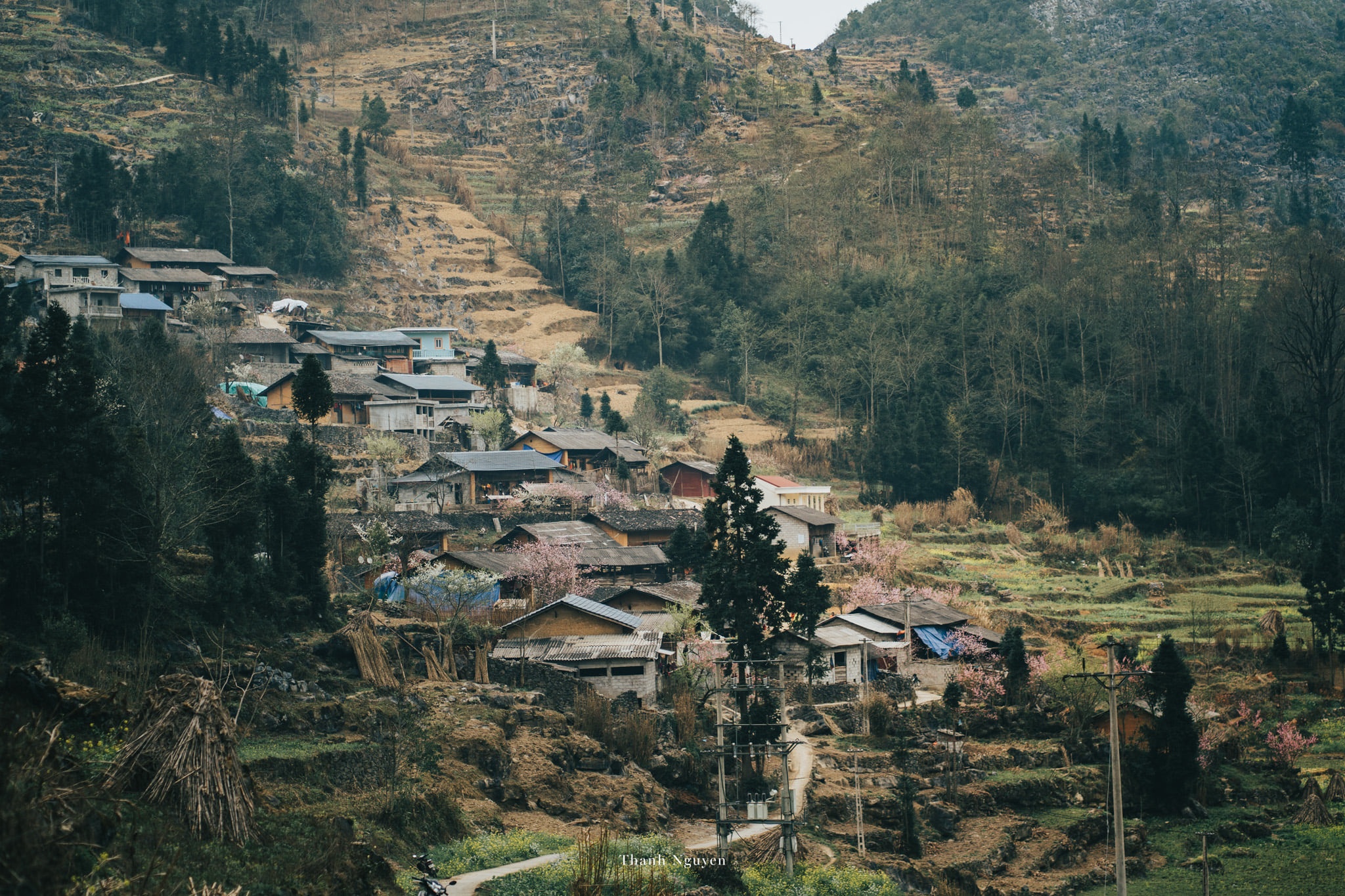 Sac xuan tren reo cao Ha Giang anh 13