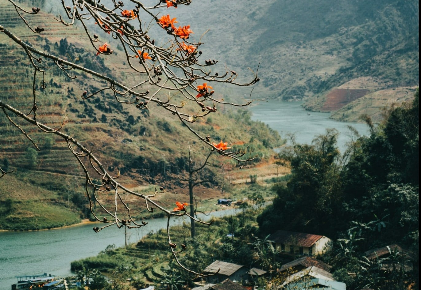 Sac xuan tren reo cao Ha Giang hinh anh