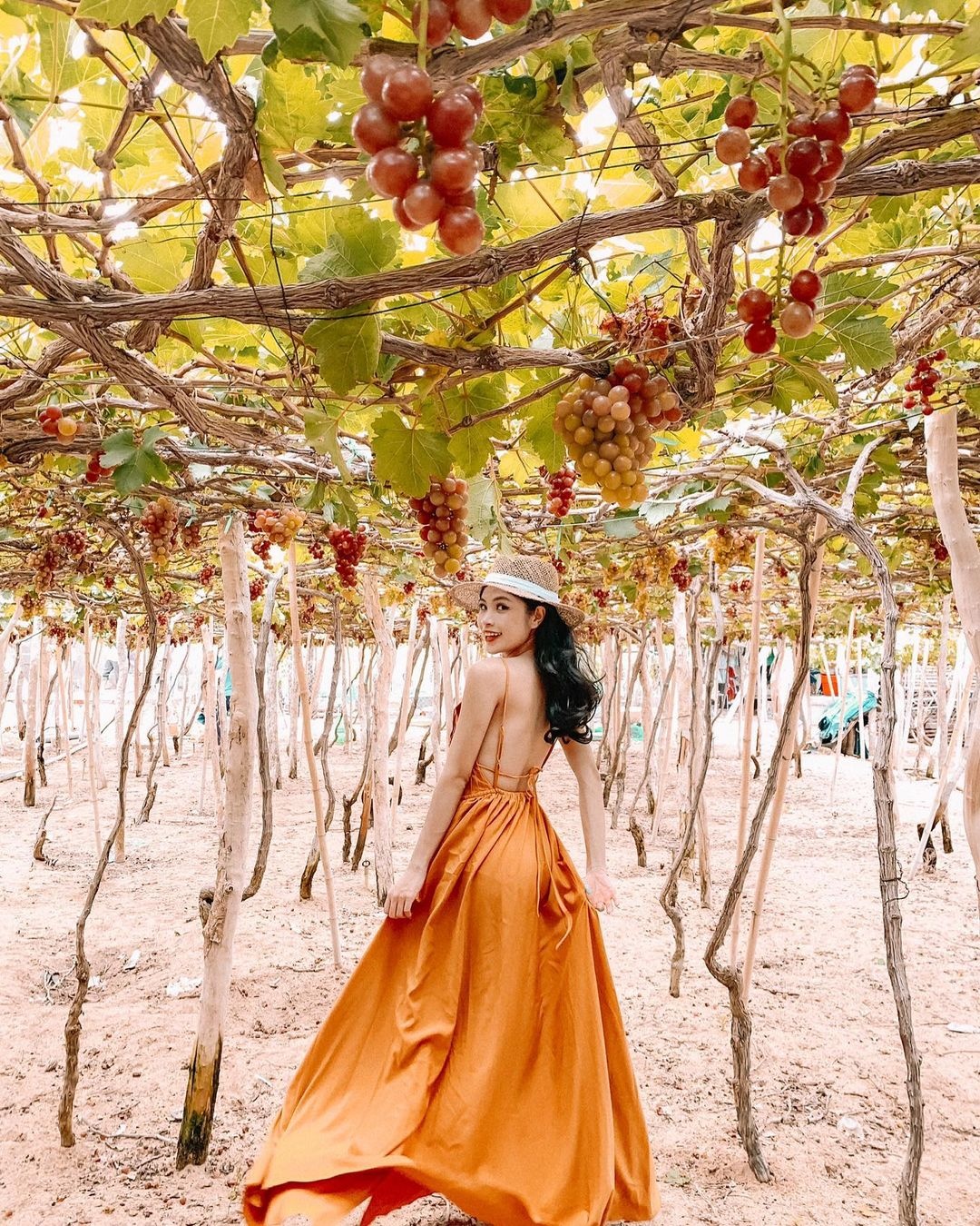 Cac diem check-in dep o Ninh Thuan anh 8