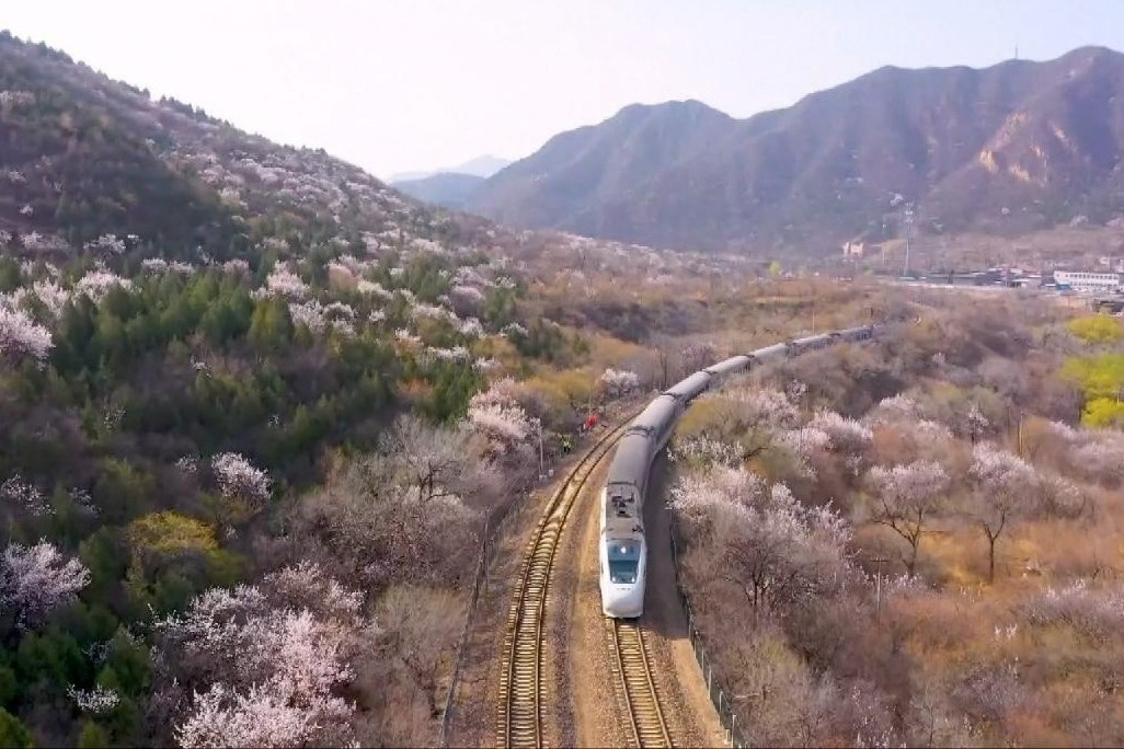 Chuyen tau qua vung dao no o Van Ly Truong Thanh hinh anh