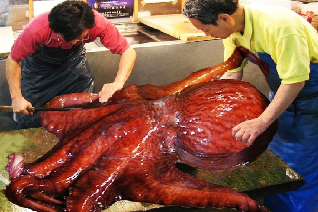 Cach danh bat va xe thit bach tuoc khong lo o Nhat Ban hinh anh