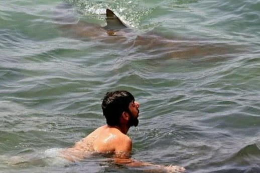 Du khach boi cung ca map bat chap canh bao o Israel hinh anh