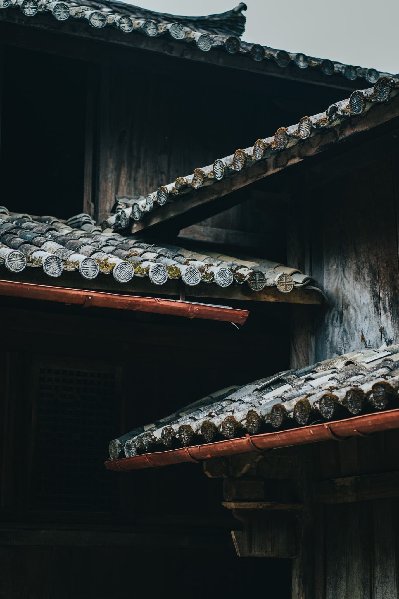 Sac xuan tren reo cao Ha Giang anh 18