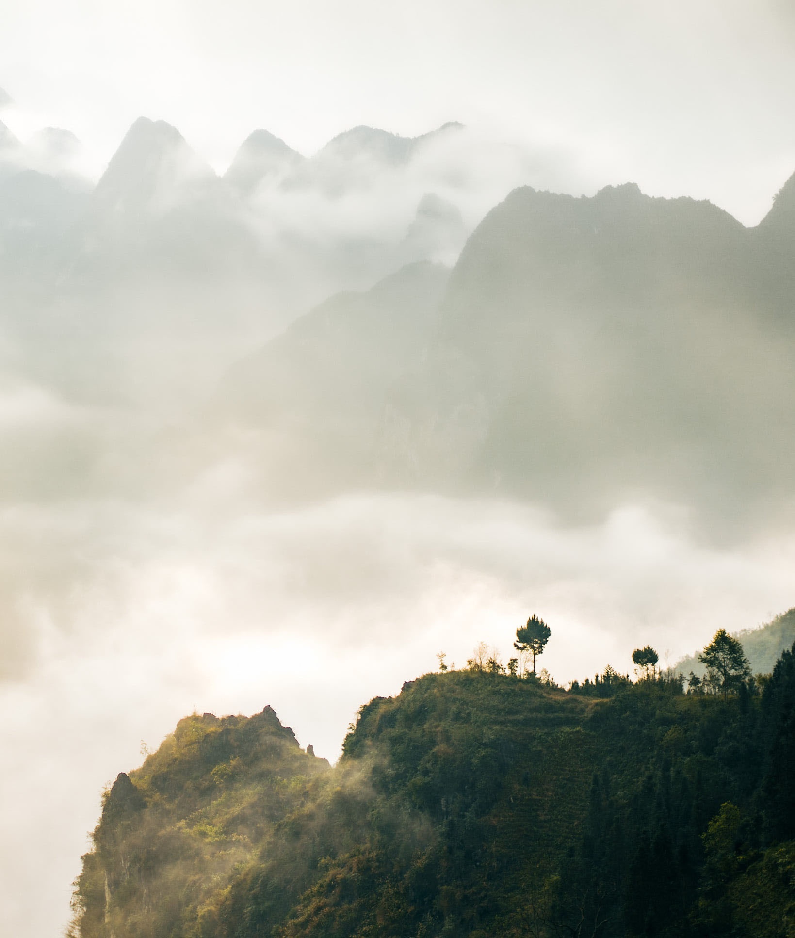 Sac xuan tren reo cao Ha Giang anh 2