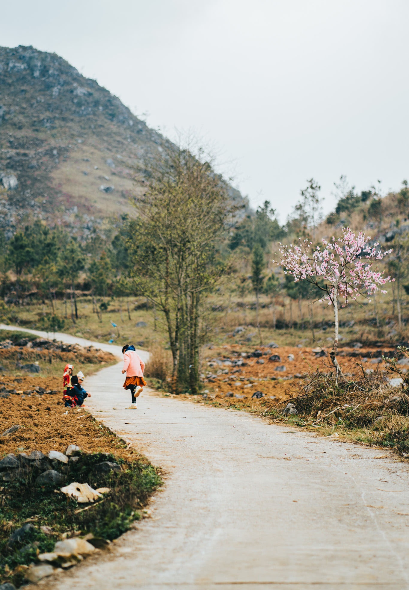 Sac xuan tren reo cao Ha Giang anh 24